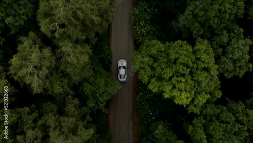 Aerial view of the Ford Mustang Mach 1 in the forest in Limburg, the Netherlands.