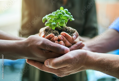 Fotografi Teamwork and growth with a plant in the hands of a group or team of eco people for agriculture and collaboration in a green business