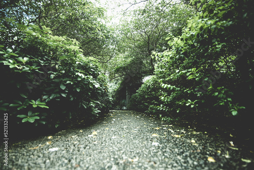 The Walkway of Zen