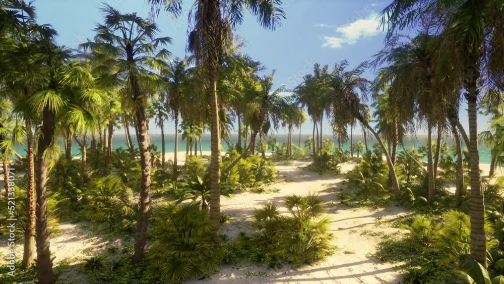 Palm Beach In Tropical Idyllic Paradise Island Palm Beach In Tropical Idyllic Paradise Island