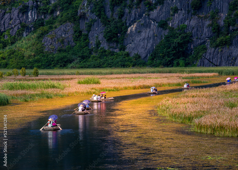 Fototapeta premium Beautiful scenery inside Van Long Natural Preserve