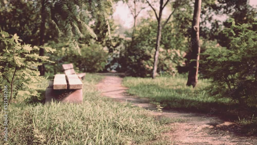 Bench in the summer park with old trees and footpath