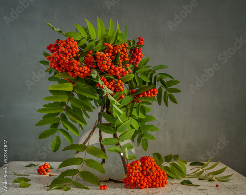 Bouquet of rowan branches with bunches of red berries