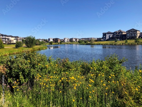 A view of a beautiful lake surrounded by flowers and homes in the summer, or retention pond, in North Edmonton, in the neighbourhood of Crystalina Nera. photo