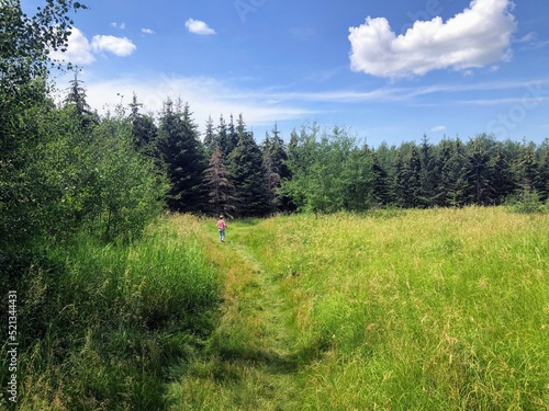 A young girl running through a meadow with tall golden grass and blue sky, in the riverlot 56 natural area outside of St. Albert, Alberta, Canada © christopher