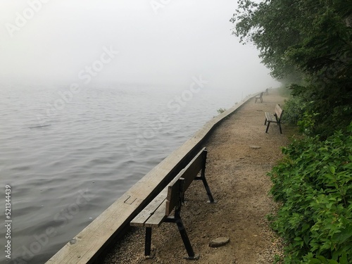 Φωτογραφία Empty benches overlooking McLeod lake, surrounded by forest, in Carson-Pegasus p