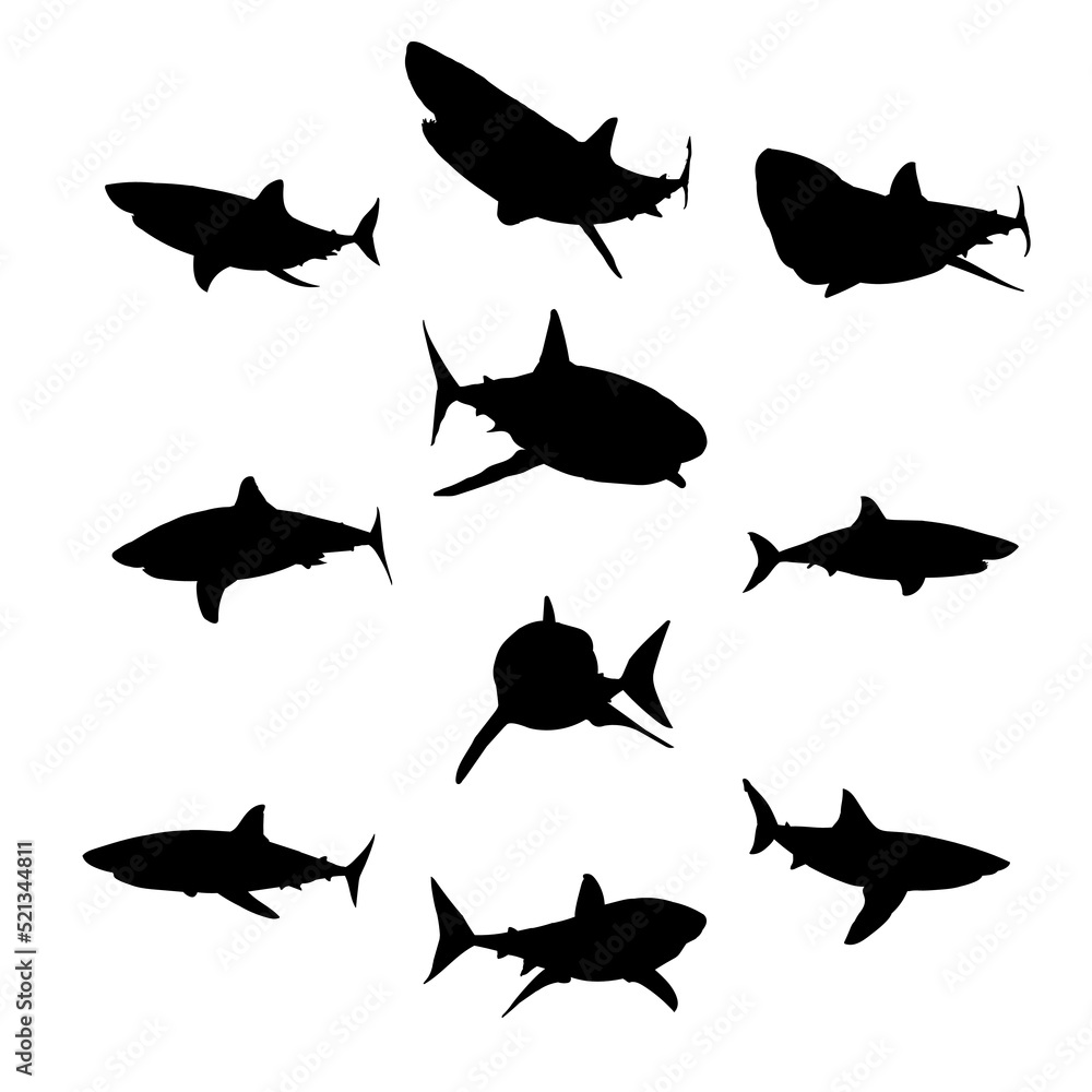 Fototapeta premium sharks silhouette hand drawing vector illustration isolated on background