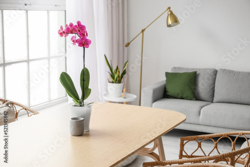 Beautiful orchid flower and...
