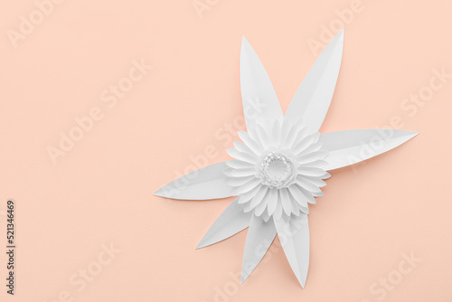 White paper flower craft on...