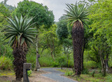 Safari Lodge Garten im Naturreservat Hluhluwe Imfolozi Park Südafrika