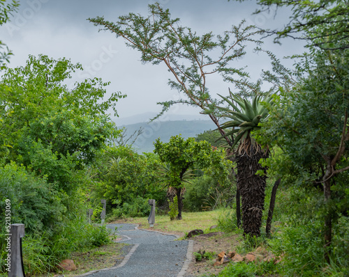 Safari Lodge Garten im Naturreservat Hluhluwe Imfolozi Park Südafrika photo