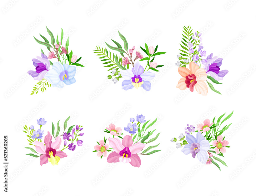 Fragrant Orchid Bloom with Labellum Arranged with Floral Branches Vector Set