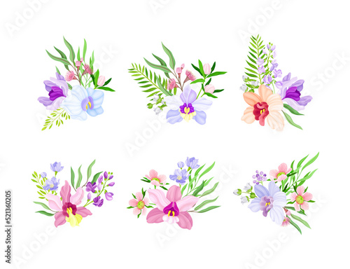 Fragrant Orchid Bloom with Labellum Arranged with Floral Branches Vector Set