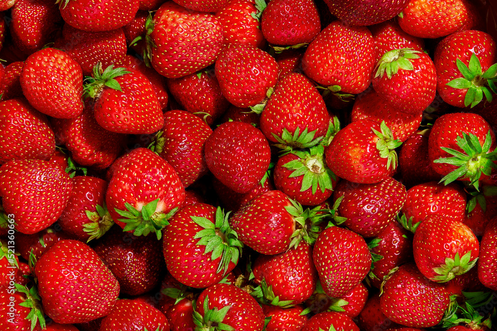 Strawberry. Background of fresh natural strawberry. Strawberry of different shapes. Strawberry. Background of fresh natural strawberry. Strawberry of different shapes.