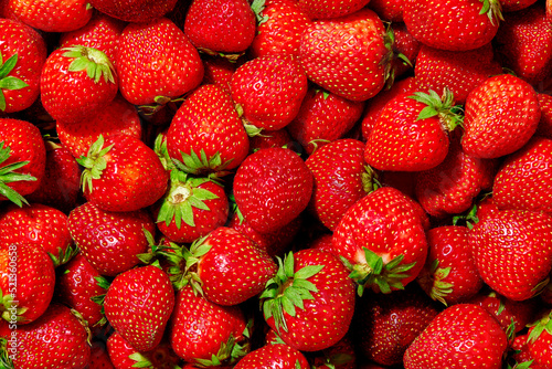 Strawberry. Background of fresh natural strawberry. Strawberry of different shapes.