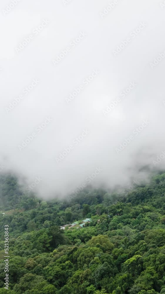 vertical timelapse nature cloud fog moving on the mountain hill with forest in winter time vertical timelapse nature cloud fog moving on the mountain hill with forest in winter time