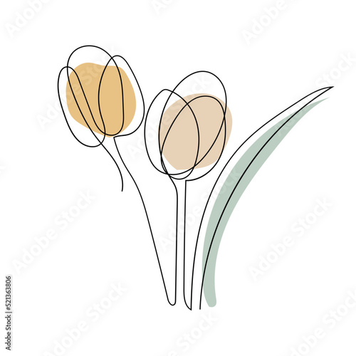 Tulip flower line art. Contour drawing. Minimalism art.