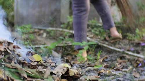 Wallpaper Mural sweeping dry leaves, you can see brooms from coconut leaves and women's feet. rake dry leaves and then burn. Torontodigital.ca