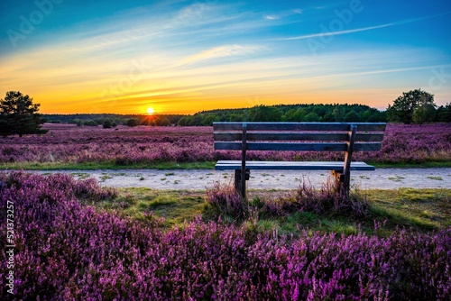 Sonnenuntergang auf dem Wilseder Berg