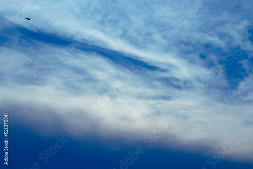 a small bird on a blue sky background