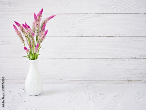 Pink flowers in vase on table with white cement wall texture background or wallpaper, copy space Celosia argentea L. Plumed Cockscomb ,Chinese Medicine Kurdu Amaranthaceae Troublesome Widespread Weed  photo