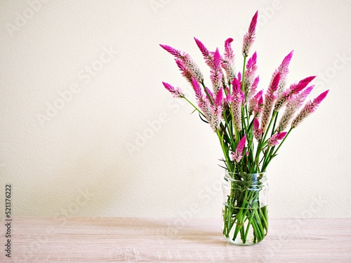 Pink flowers in vase on table with white cement wall texture background or wallpaper, copy space Celosia argentea L. Plumed Cockscomb ,Chinese Medicine Kurdu Amaranthaceae Troublesome Widespread Weed 