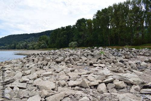 Rhein ufer mit Felsen bei TRockenheit