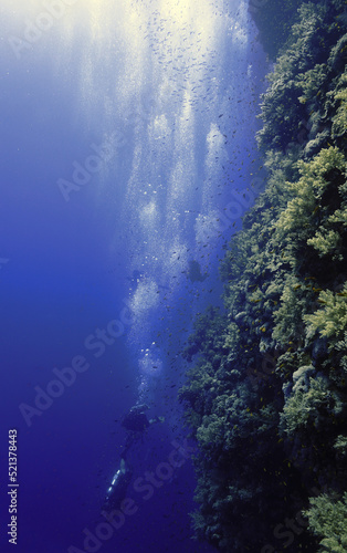 Underwater photo of a beautiful drop off coral reef wall. From a scuba dive in the Red sea in Egypt.