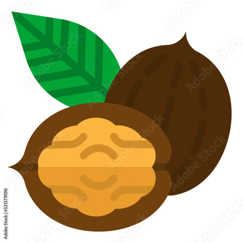 walnut