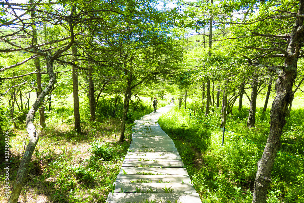 Obraz premium 富士見パノラマリゾート in 長野県諏訪郡