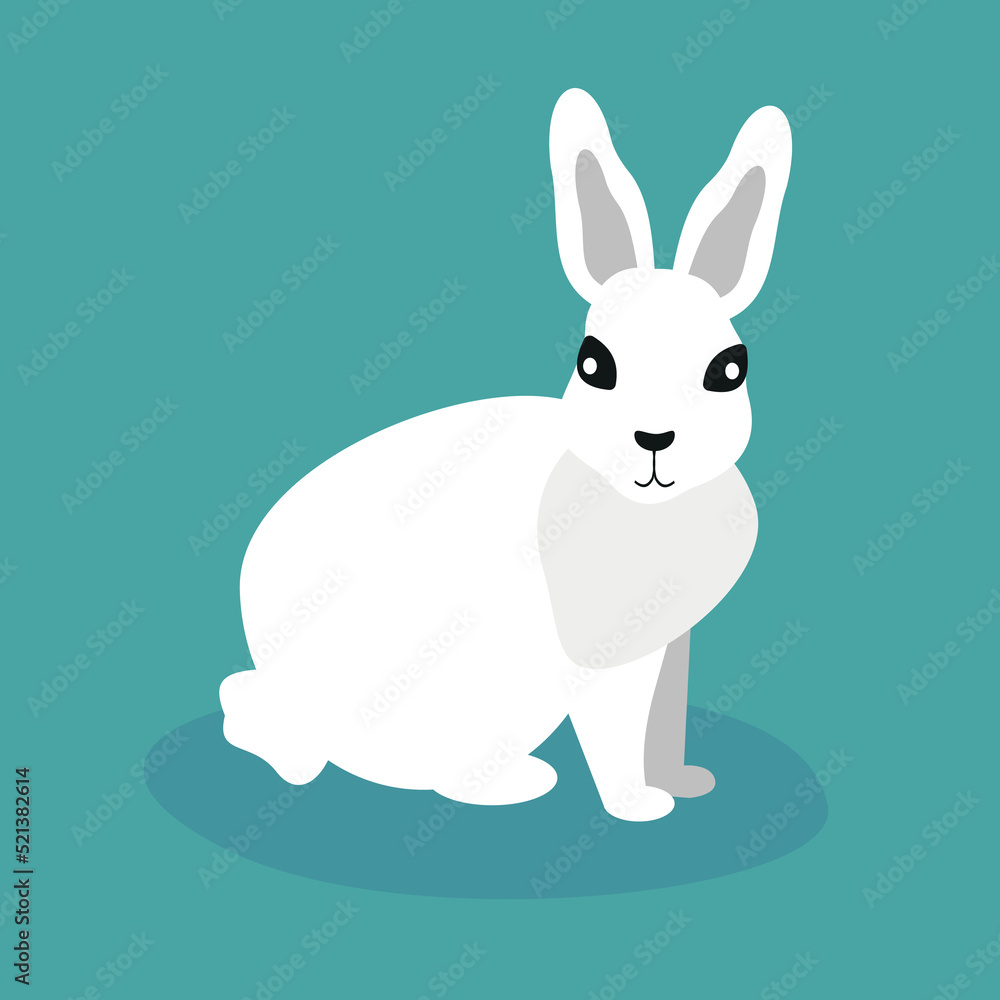 white rabbit on a green background