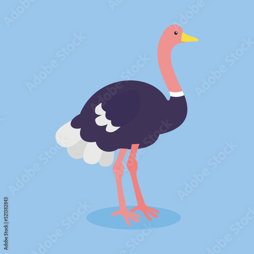 ostrich on a blue background