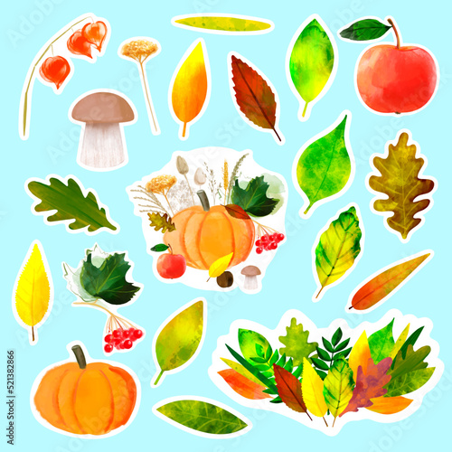 Fototapeta Naklejka Na Ścianę i Meble -  Set stickers with autumn illustration with colorful leaves and autumn harvest of pumpkin, apple, viburnum and mushroom
