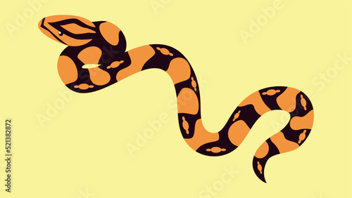 orange and black snake on a yellow background