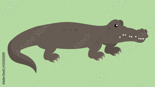 crocodile on a green background