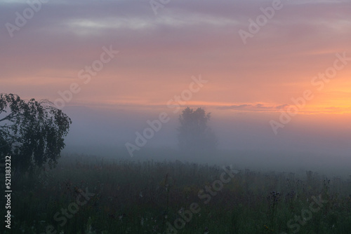 foggy dawn in summer in a field © la_toja