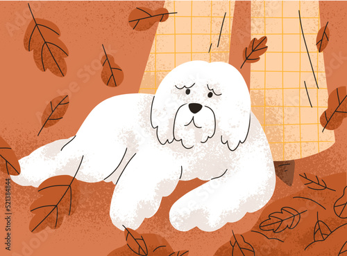 Dog of South Russian shepherd breed, lying near owners legs in nature during walk. Big shaggy doggy in fall, autumn. Furry canine animal. Flat vector illustration isolated on white background