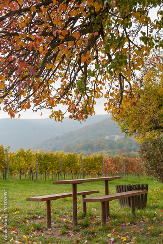 PicknickPlatz, Pfalz