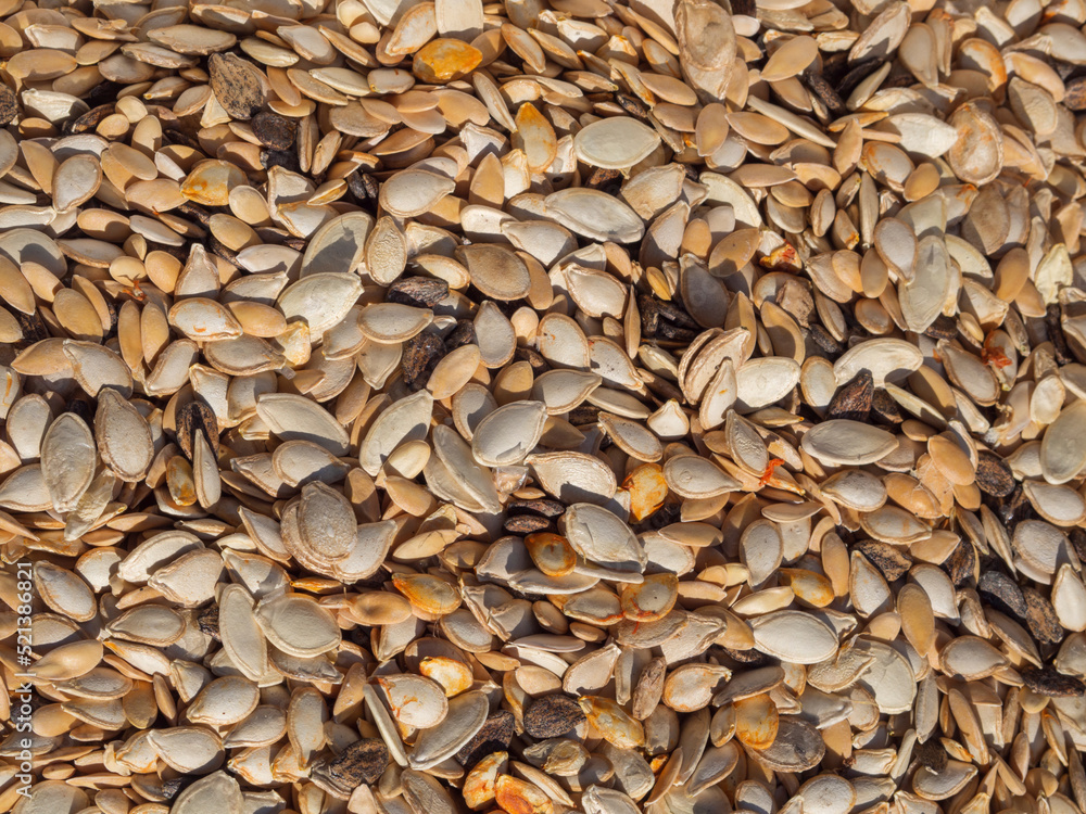 Photo on top of a mixture of pumpkin and melon seeds for a food background. Natural background of the seed texture Photo on top of a mixture of pumpkin and melon seeds for a food background. Natural background of the seed texture