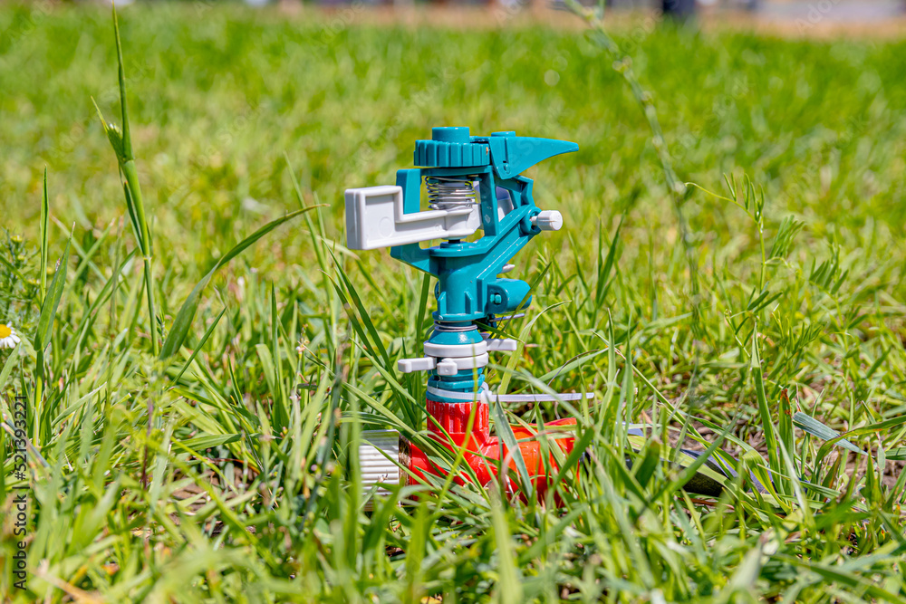 The lawn watering device is installed on the ground among the grass. Soft focus