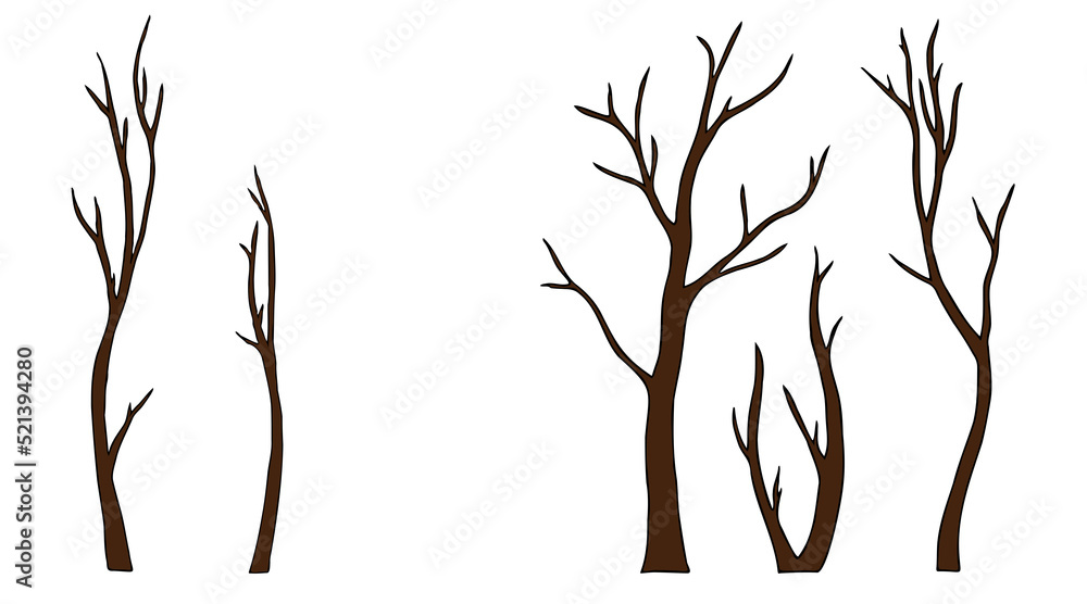 Fototapeta premium bald trees