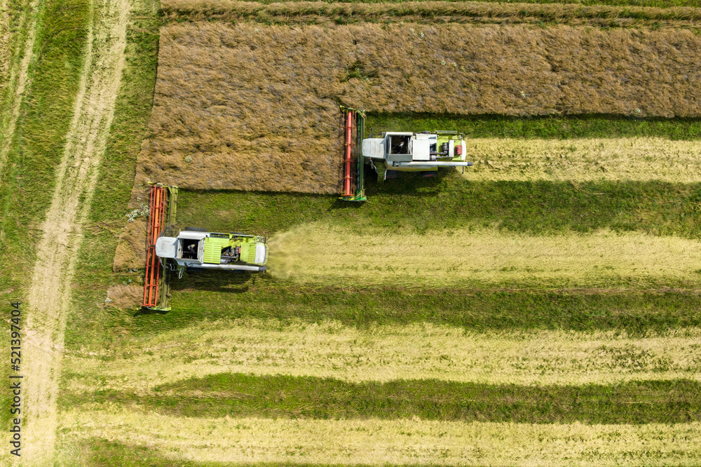 Obraz premium aerial view over modern heavy harvesters remove the ripe wheat bread in field. Seasonal agricultural work