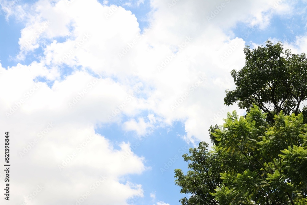 The Sky The Sky