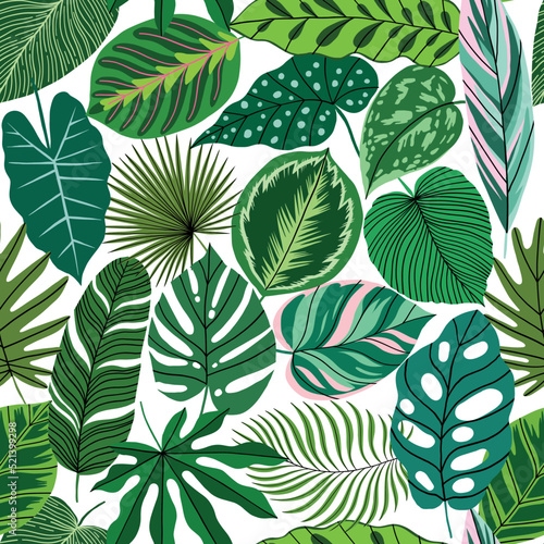 Tropical leaves seamless pattern. Exotic plant texture