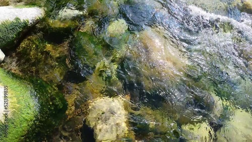 mountain river green moss on the rocks