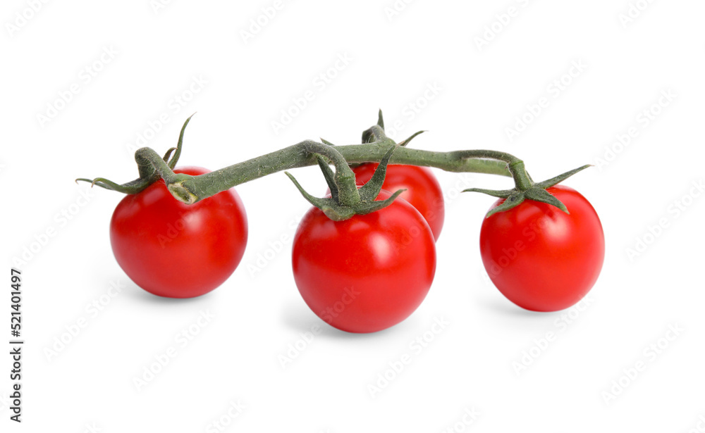 Branch of red ripe cherry tomatoes isolated on white Branch of red ripe cherry tomatoes isolated on white