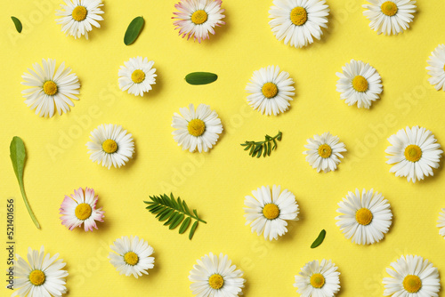 Many beautiful daisy flowers and leaves on yellow background, flat lay