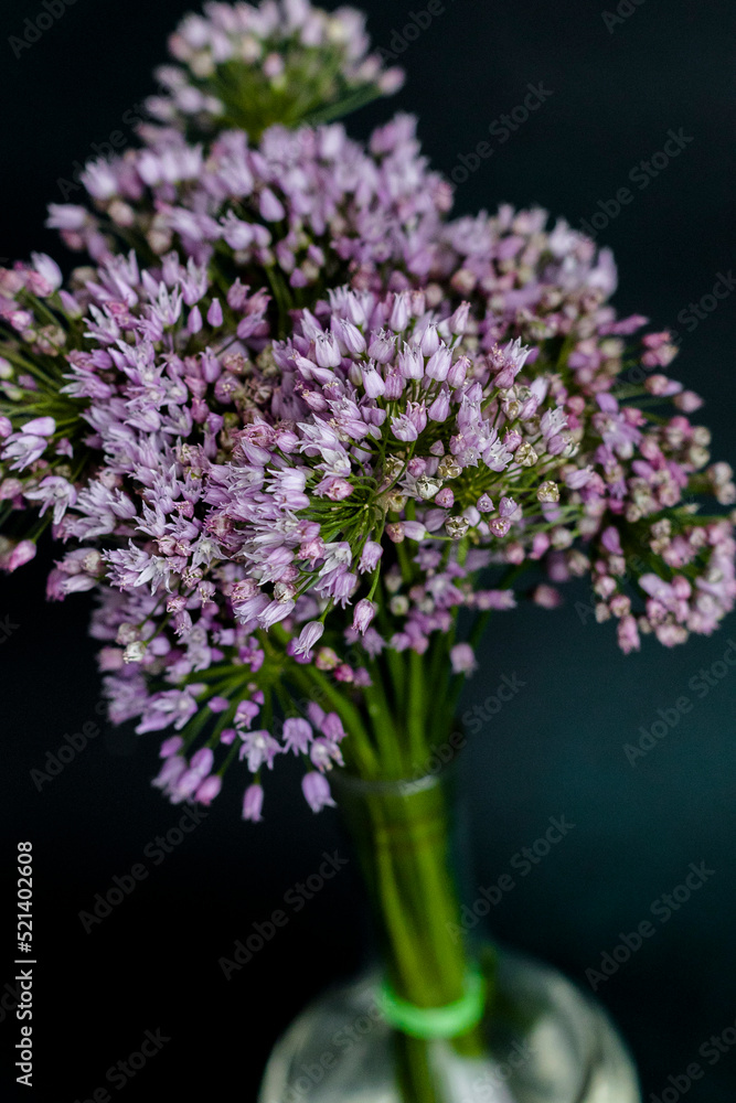 Bouquet in the vase on the table. Flowers in a vase. Summer bouquet. Wildflowers Bouquet in the vase on the table. Flowers in a vase. Summer bouquet. Wildflowers