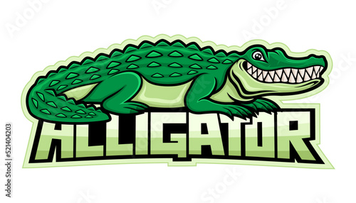 Crocodile alligator smiling isolated on white background.