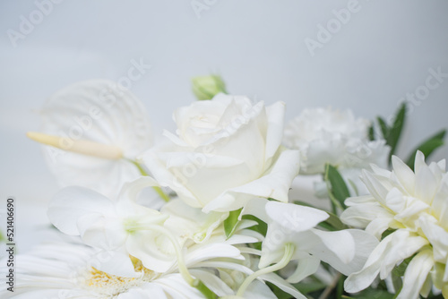 冠婚葬祭 季節のお花の壁紙